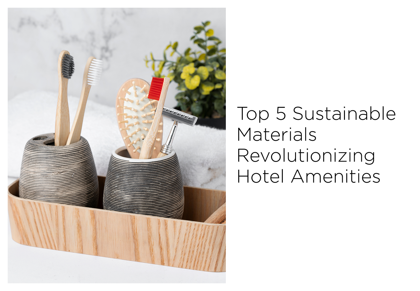 Luxury Hotel Amenities